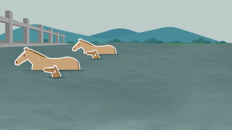 河川敷が水没してしまったことが要因（中国SNSより）