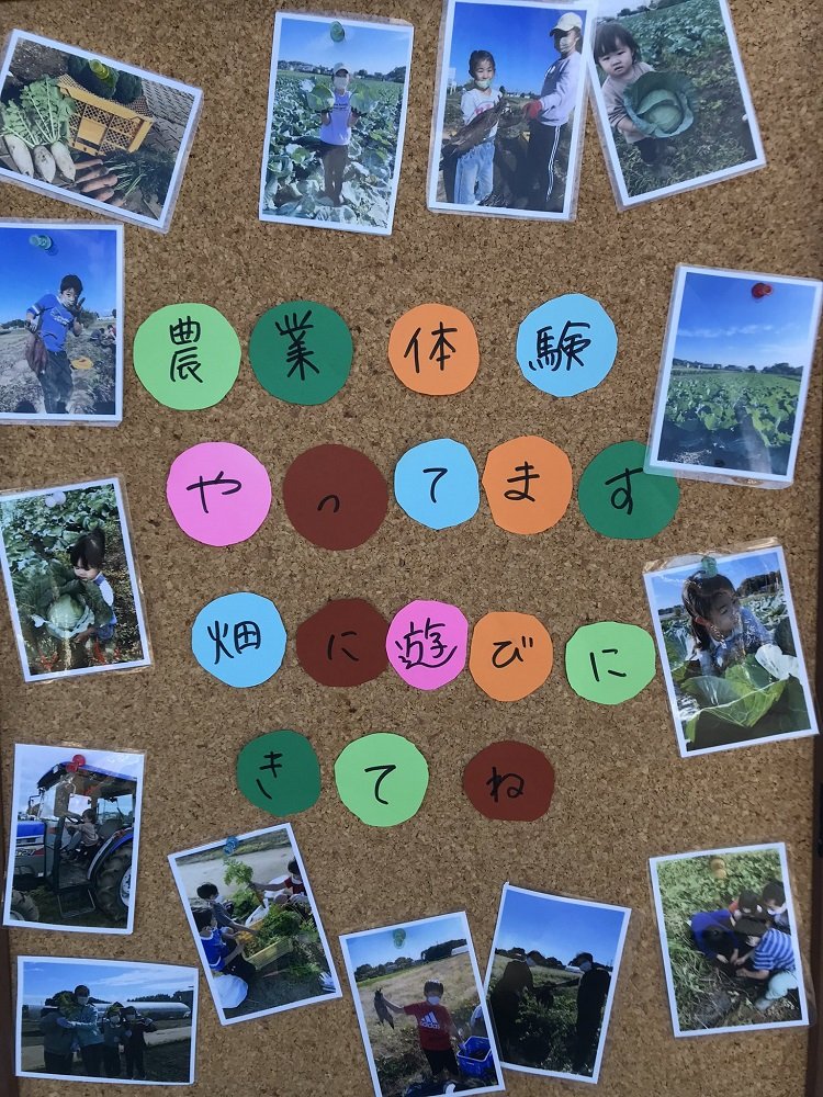 農業体験も開催（画像提供：：しゅん・あぐり たまこさん）