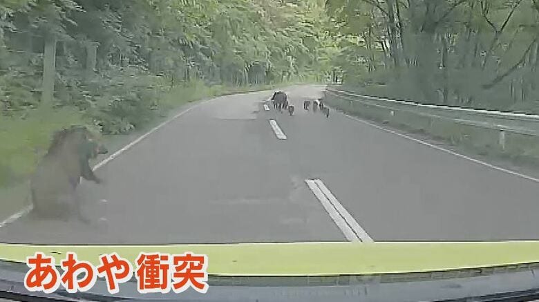 あわや衝突