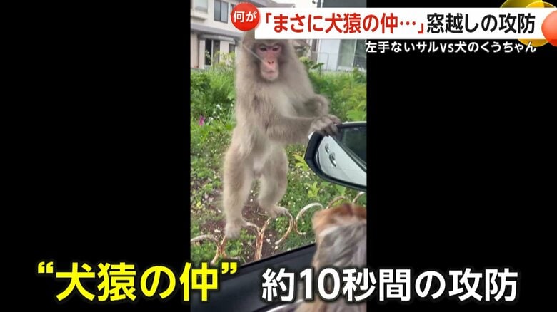 （FNN投稿サイト「ビデオPost」）