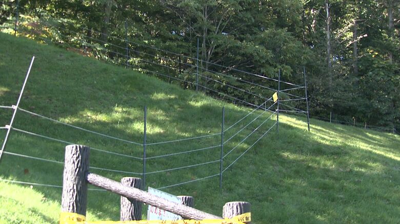 公園と林の境界に電気柵が設置