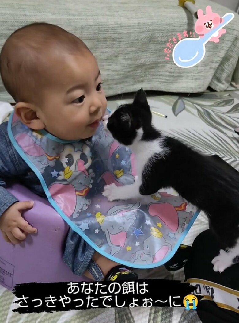 「ぼくにもちょうだい」といった凪くん