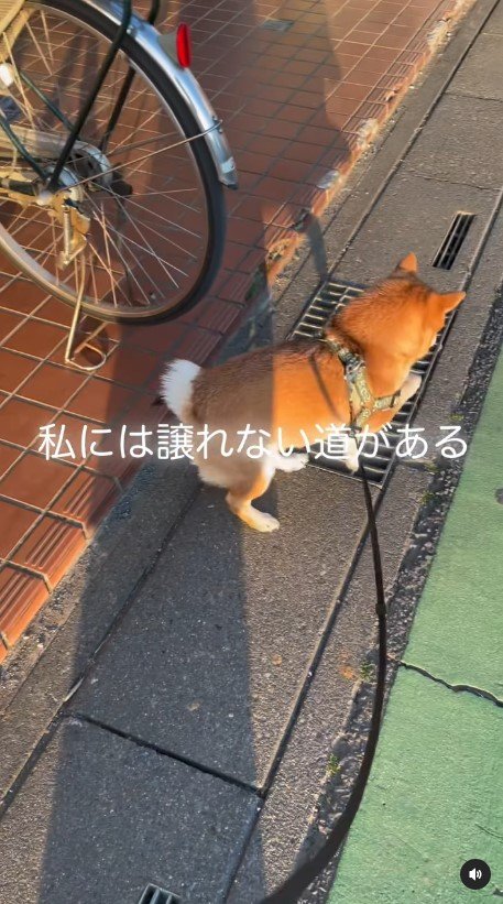 提供：kurararara4466さん