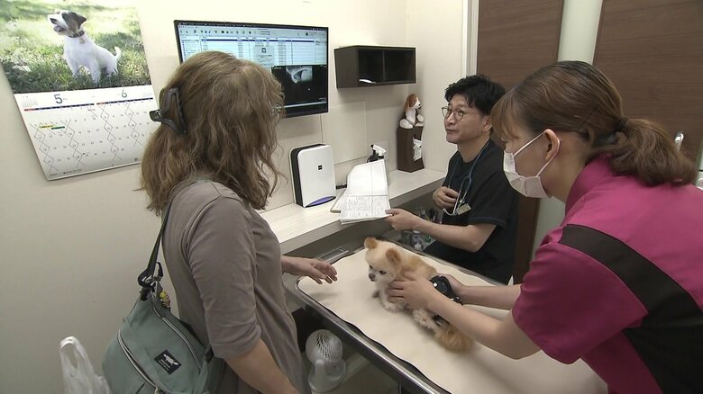 “患者”の8割はイヌとネコ