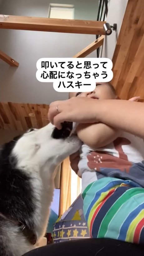 提供：akariさん