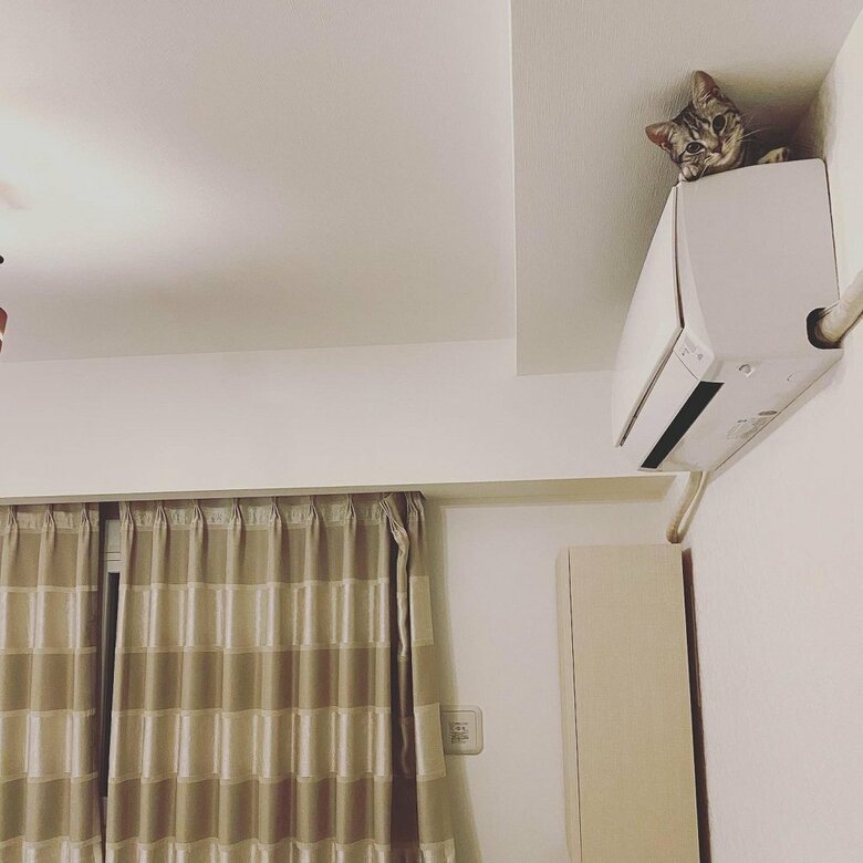 どこにいったのかな？