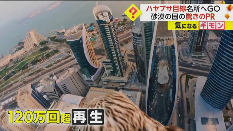 120万回を超えて再生されている、ハヤブサ目線でカタールをめぐる動画