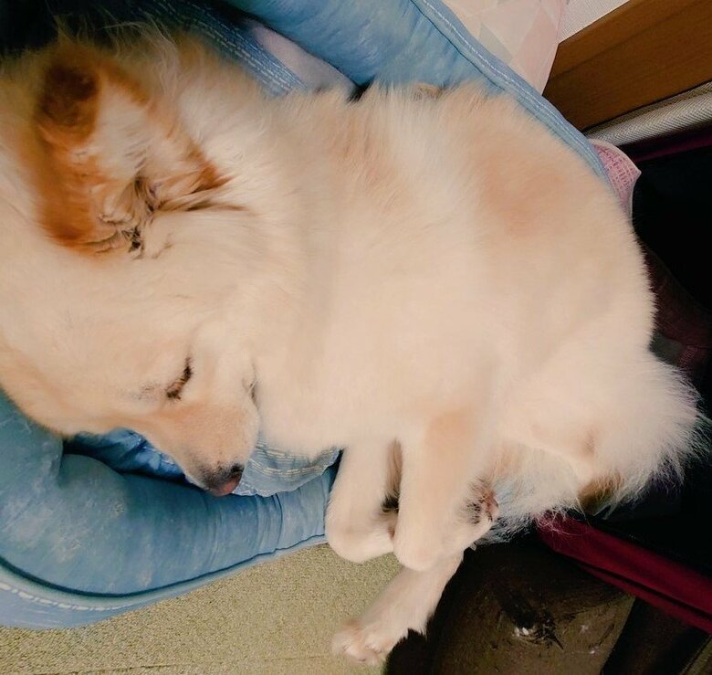 今は大きくなったが、愛らしさは変わらない