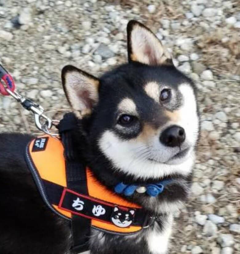 提供：掃除魔さん