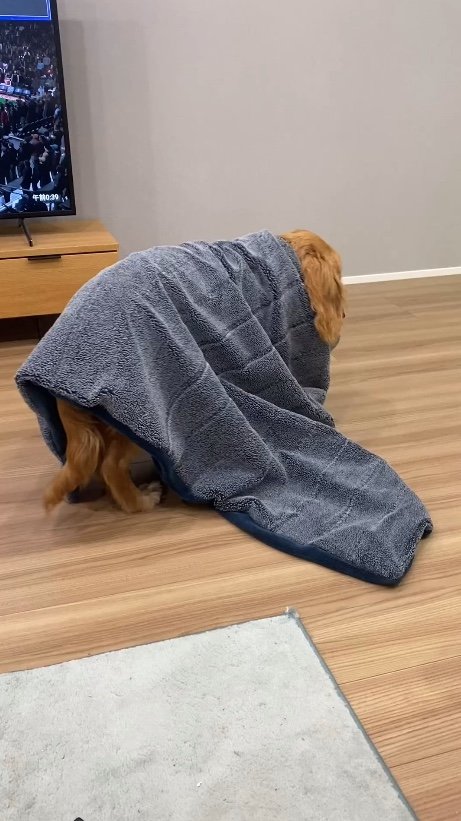 提供：関口和也さん