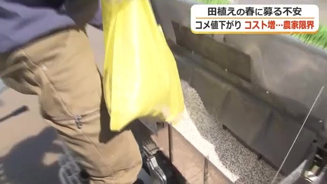 肥料代は3年で倍に