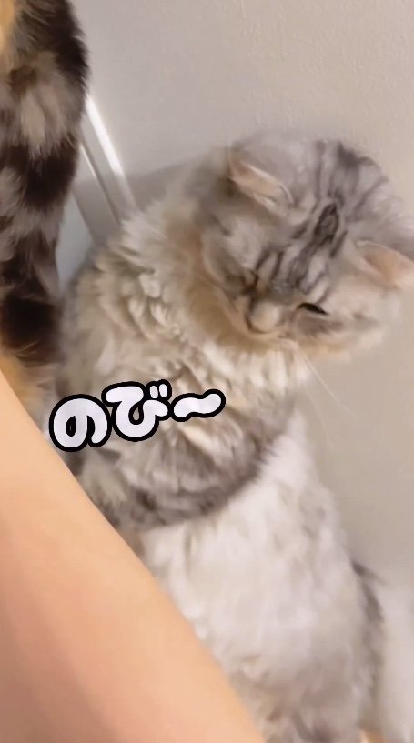 提供：チワックスの諭吉くん。さん