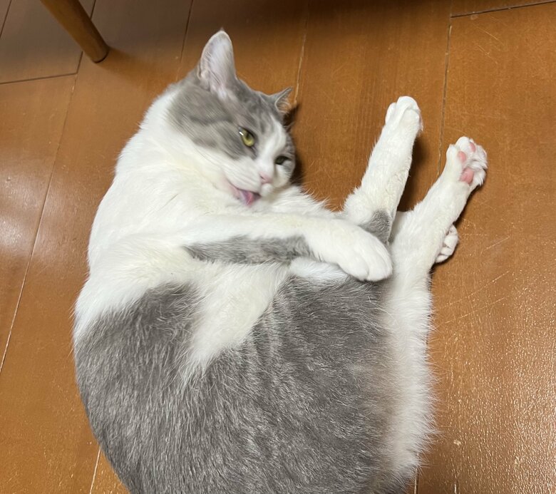 提供：いずもん/まろ様さん