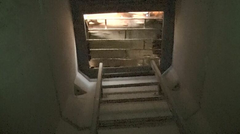 「ハシゴ型」の出入り口が住宅の絨毯の下に位置することも