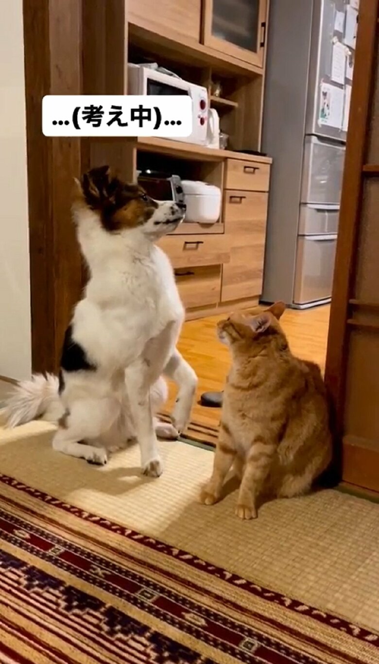 どっちが悪かったか改めて考えてみる