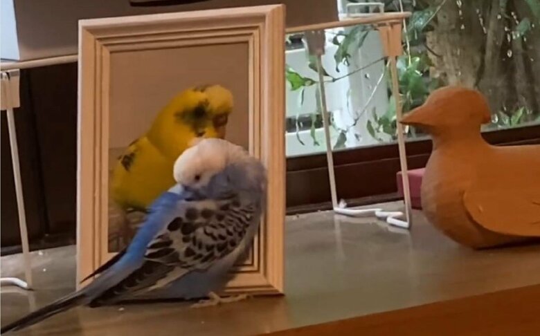 写真の前から離れず、その場で休む様子も