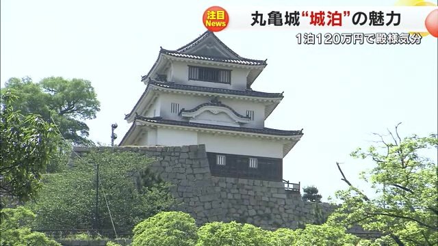 丸亀城