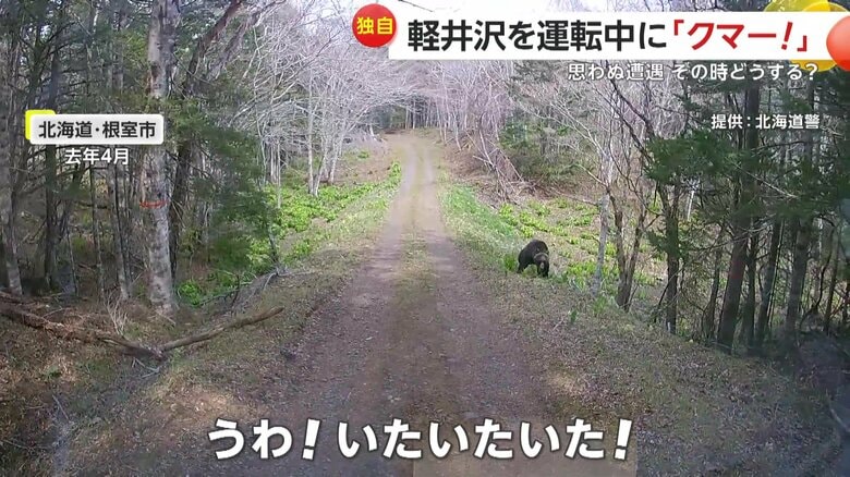 走行中の車に襲いかかってきたヒグマ（2024年4月、北海道・根室市）