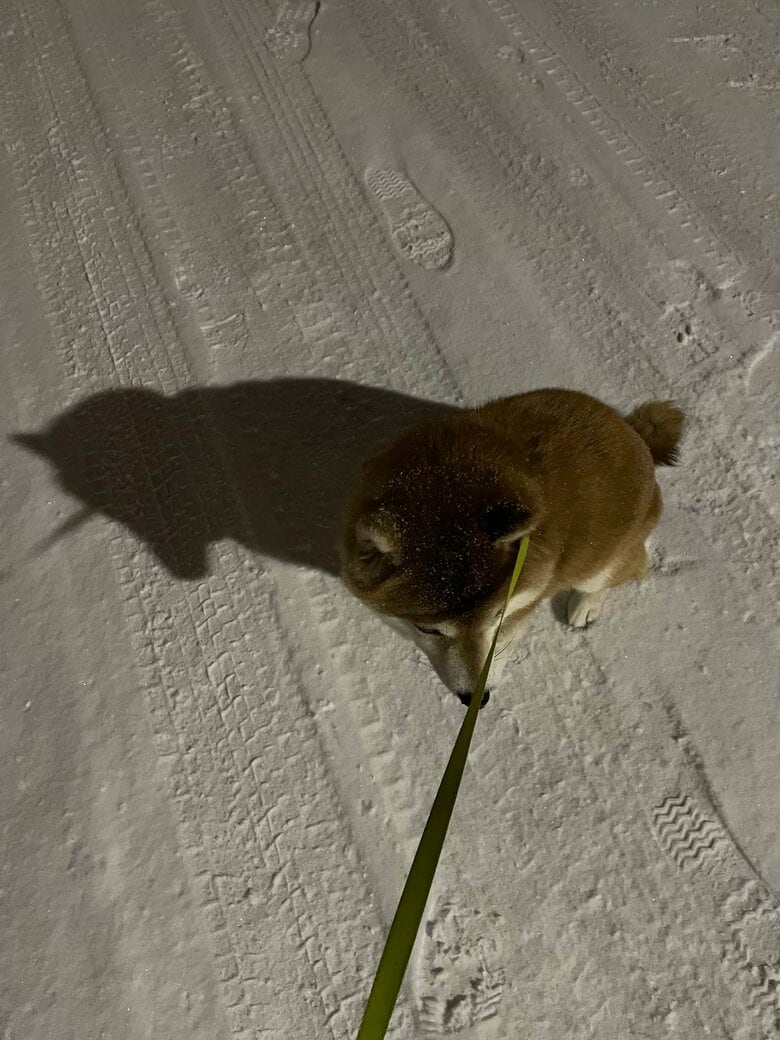 まだまだ帰りたくない様子