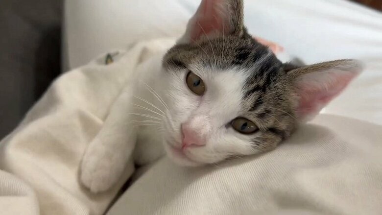 毎日のように寄り添っていたという