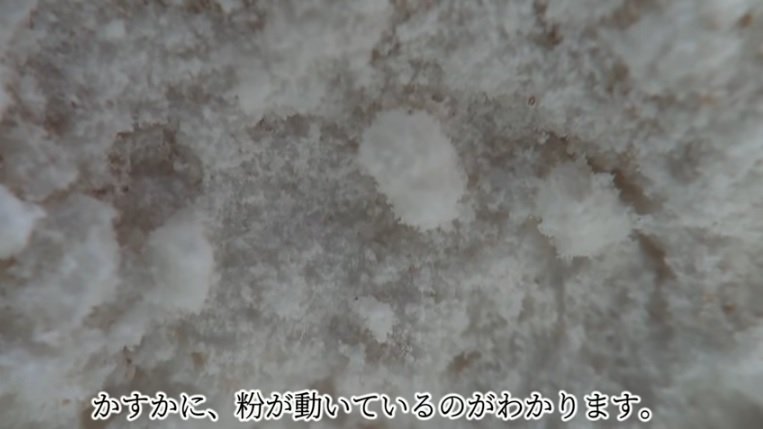 常温放置した2週間のお好み焼き粉（画像：日革研究所公式YouTube動画より）