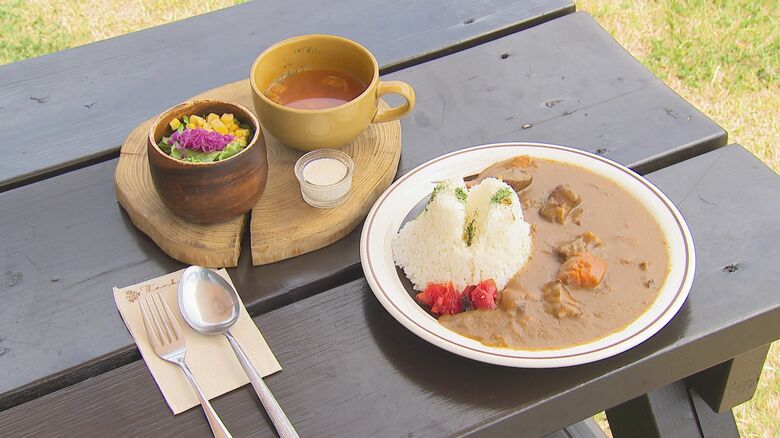 佐渡島黒豚金山カレー