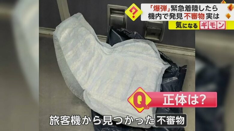 旅客機のトイレで見つかった不審物の正体は“大人用のおむつ”