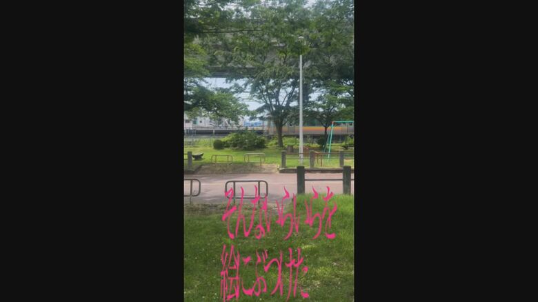 ヒナちゃんが制作した動画