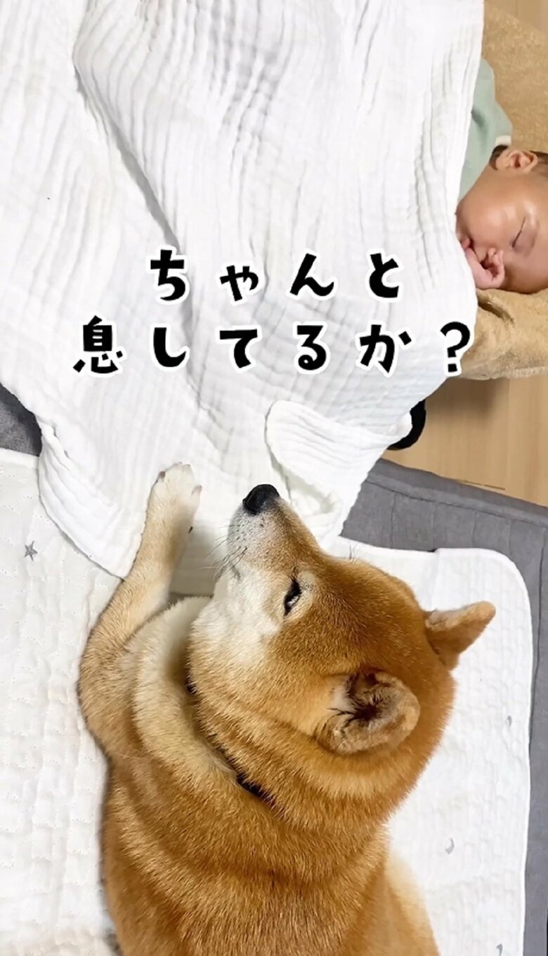 眠っている次男くんのそばで見守っている