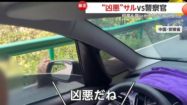 「凶悪だね」とこぼす女性（中国SNSより）