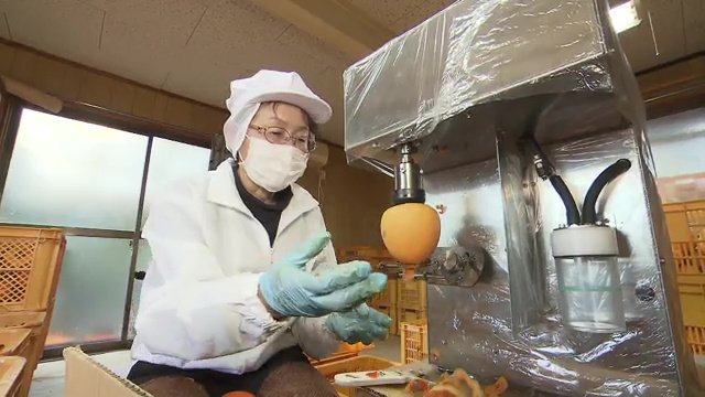 農家も絶賛　セットするだけでスルスルと