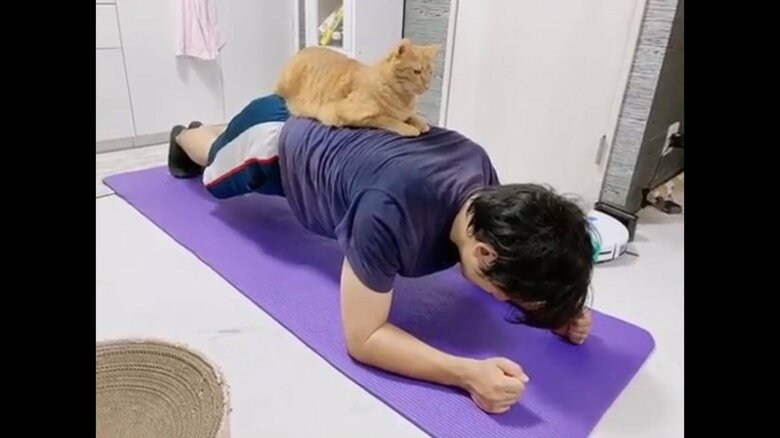 提供：たぬき&とらさん