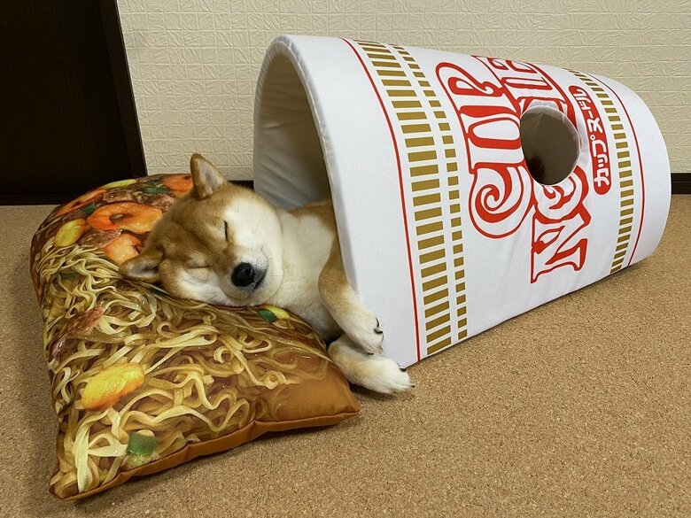 カップヌードルにもなります