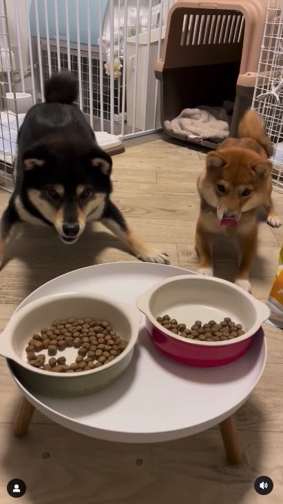 提供：まめふく&ゆめくりさん