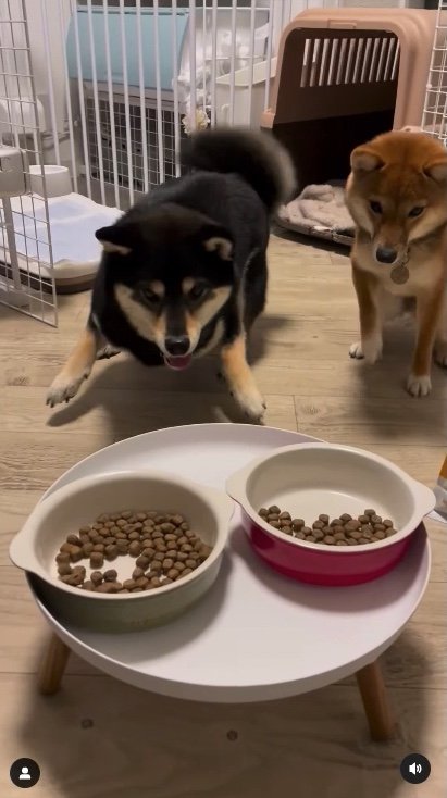 提供：まめふく&ゆめくりさん