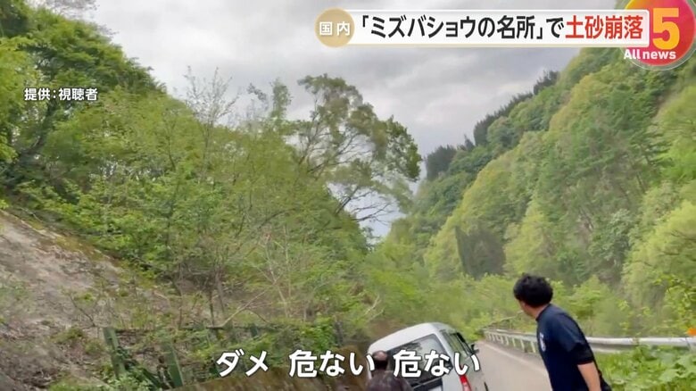 林道脇の斜面から土砂とともに、大きな木々が崩れ落ちる一部始終②
