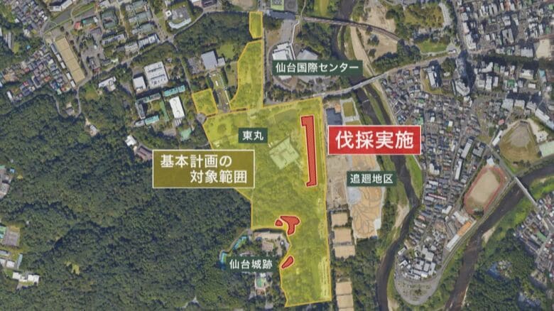 整備計画における整備対象エリアと伐採実施エリア