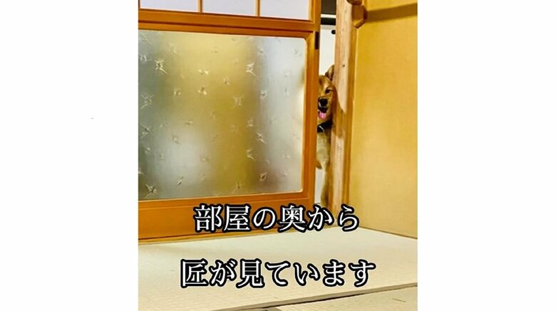 匠であるゆうまくんが部屋の奥から見ている