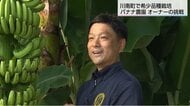 国内流通わずか0.1%の希少品種バナナを栽培　農園オーナーの情熱と挑戦