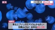 ゴールデンウイークの県内観光客89万人（前年比-6万人）　かもすい・羽黒山は前年比1.3倍　山形
