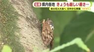 静岡県内は厳しい暑さ続く 夜の花火大会へ屋台での準備はタオルで汗をぬぐいながら
