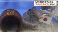 日本対オランダ「引き分け」アメリカザリガニの占いが的中！？かにっこ館で“負けられない戦い（鳥取）