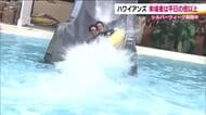雨続きのシルバーウィーク　屋内プールの「ハワイアンズ」賑わう　ちいかわイベントも大盛況