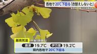 急な寒さ 県内各地で最高気温が20℃を下回る 11月上旬や中旬並みの気温【佐賀県】