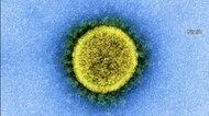 約3カ月ぶり 全国の感染者4500人を超える 東京は変異株増加傾向