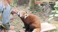186種類いた動物が134種類に…“選択と集中”種を守るためあり方を模索する動物園【鹿児島発】