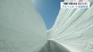 アルペンルート 1車線だった頃の「雪の大谷」を走った運転手の思いは…