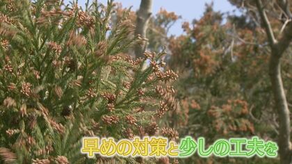 ぽかぽか陽気で一気にムズムズ…今季の飛散量は平年の約1.5倍に！家庭でもできる花粉対策「空気のプロ」が伝授