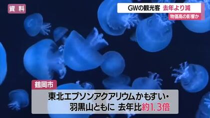 ゴールデンウイークの県内観光客89万人（前年比-6万人）　かもすい・羽黒山は前年比1.3倍　山形