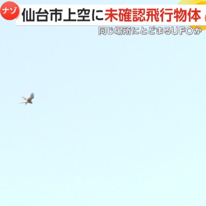 【未確認飛行物体】仙台上空に浮かぶナゾの黒い点…UFOか!?ドローンか!?その正体は…「チョウゲンボウ」だ！